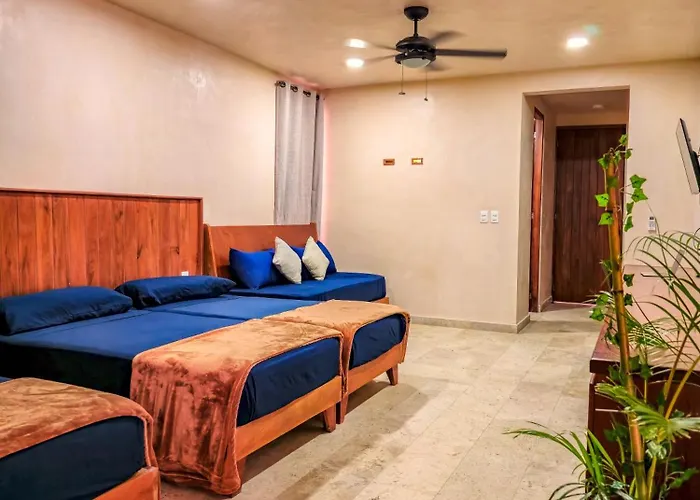 Apartament Family With Kitchenette & Terrace - Santuario Boutique *